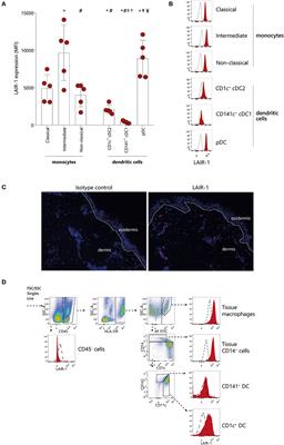 Leukocyte Associated Immunoglobulin Like Receptor 1 Regulation and Function on Monocytes and Dendritic Cells During Inflammation